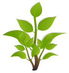 Invasive plants