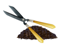 Mulching and Pruning