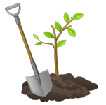 Tree Planting
